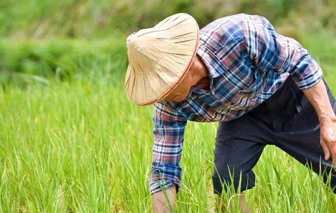 農(nóng)村俗語 窮在鬧市無人問, 富在山間有遠親 , 事實真是這樣嗎
