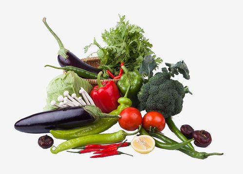 平衡飲食的關(guān)鍵 聚焦重點食物與科學餐飲服務(wù)